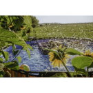 Piscina EXIT Stone ø427x122cm con bomba de filtrado de arena, color gris